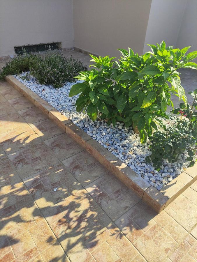 #4 Giorgos & Chara Apartments Nea Kydonia  Экстерьер фото